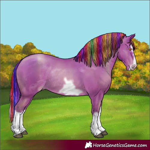 Horse Color:Painted Bay Pearl Splash Frame Rabicano 