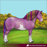 Horse Color:Painted Bay Pearl Splash Frame Rabicano 