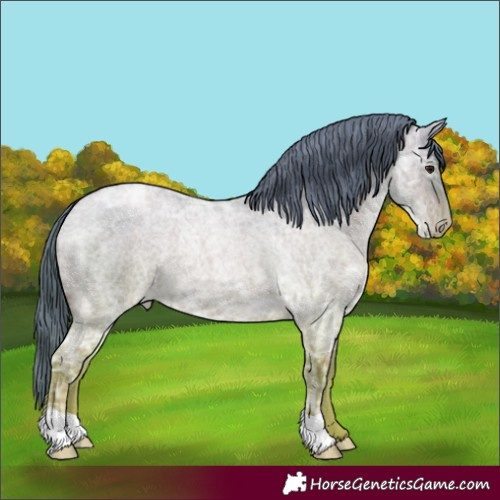 Horse Color:Blue Ice Roan Pearl 