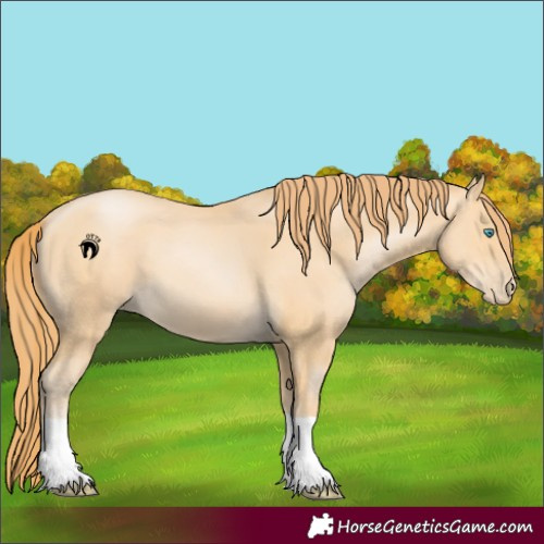 Horse Color:Buckskin Pearl 