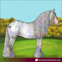 Horse Color:Nacre White Spotted Silver Buckskin Chinchilla Ice Onyx