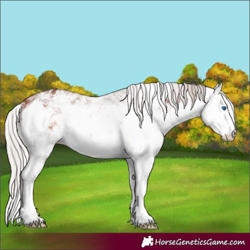Horse Color:White Spotted Silver Brown Sabino Splash 
