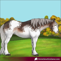 Horse Color:White Spotted Silver Brown Mushroom 