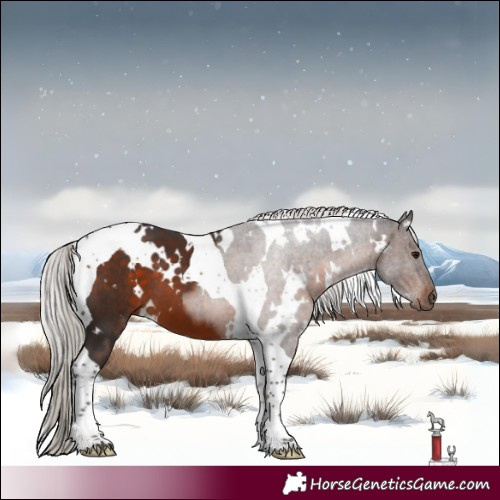 Horse Color:White Spotted Silver Brown Tobiano