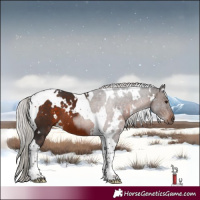 Horse Color:White Spotted Silver Brown Tobiano 