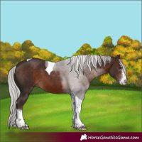 Horse Color:Silver Brown Sabino Tobiano