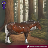 Horse Color:White Spotted Silver Brown Tobiano 