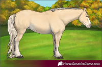 Horse Color:Palomino Dun Splash 