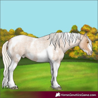 Horse Color:Silver Blue Roan Pearl Tobiano Frame 