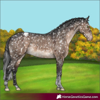 Horse Color:Brown Dun Mushroom Tobiano Snowcap 