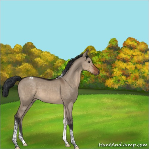 Horse Color:Brown Dun Tobiano 
