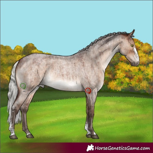Horse Color:Silver Brown Roan Dun Sabino Brindle 