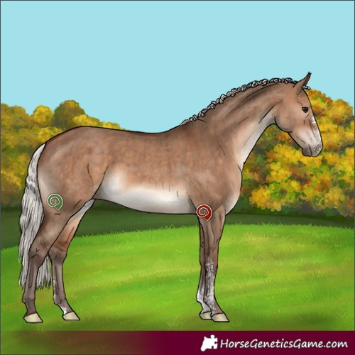 Horse Color:Silver Bay Dun Sabino Brindle 