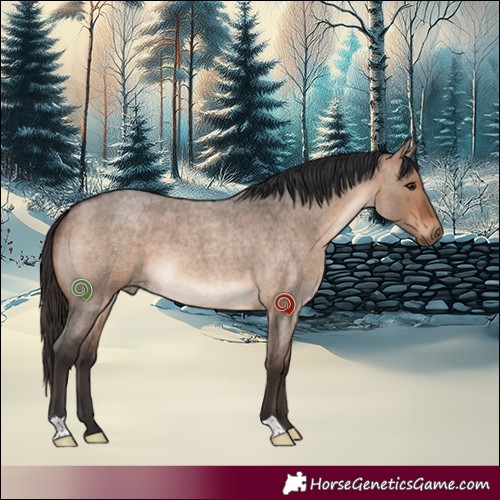 Horse Color:Bay Roan Dun 