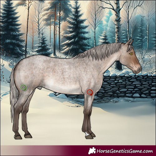 Horse Color:Silver Brown Roan Dun 