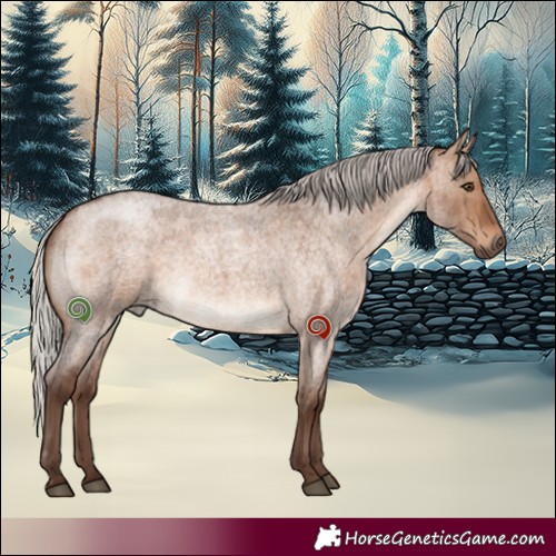 Horse Color:Silver Brown Roan Dun Brindle 
