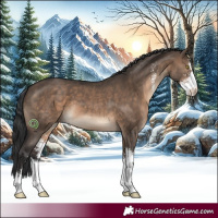 Horse Color:Brown Dun Sabino