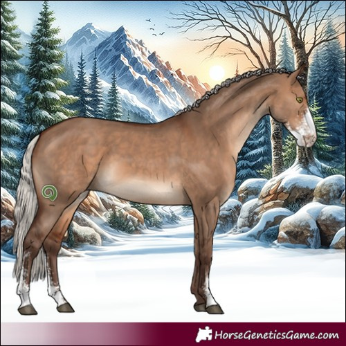 Horse Color:Silver Brown Dun Sabino