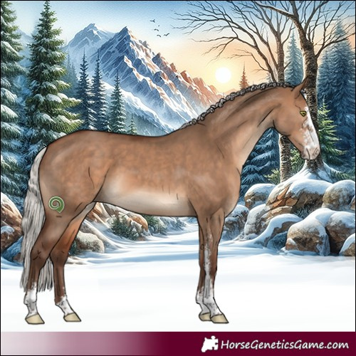 Horse Color:Silver Brown Dun Sabino 
