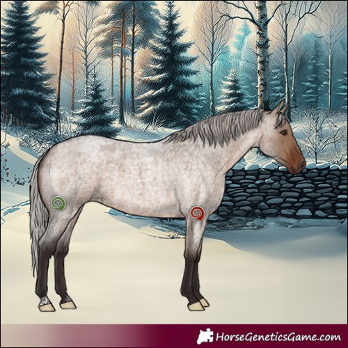 Horse Color:Silver Brown Roan Dun 