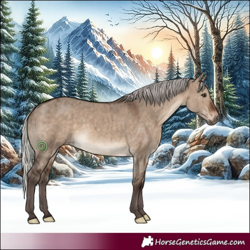 Horse Color:Silver Brown Dun Brindle