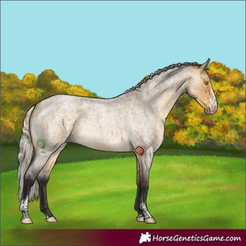 Horse Color:Silver Buckskin Roan Dun Sabino 