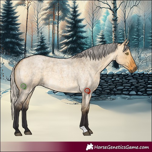 Horse Color:Silver Buckskin Roan Dun 