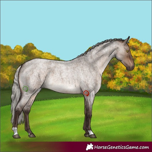 Horse Color:Silver Brown Roan Dun 
