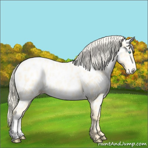 Horse Color:Palomino Pearl Dun Appaloosa 