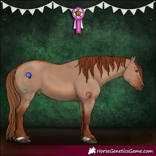 Horse Color:Red Dun 