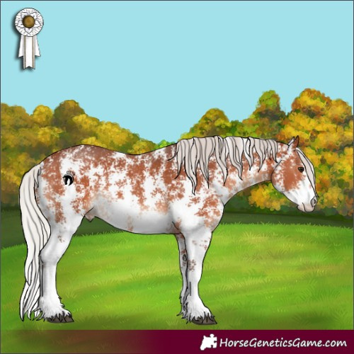 Horse Color:Silver Brown Sabino 