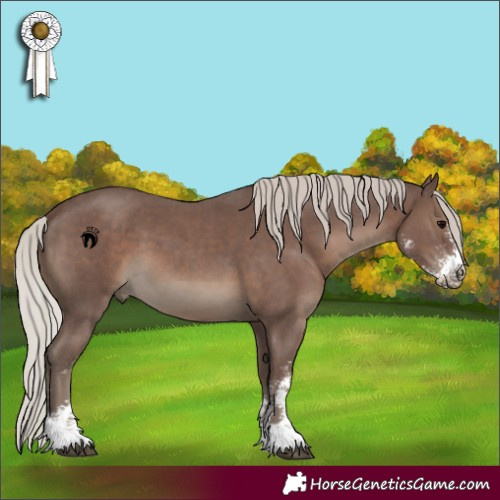 Horse Color:Silver Black Sabino 