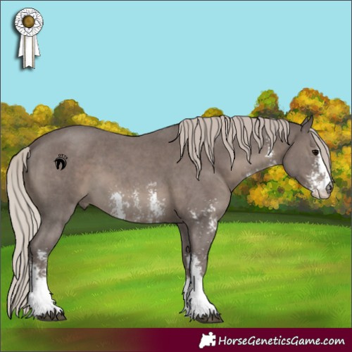 Horse Color:Silver Black Sabino 