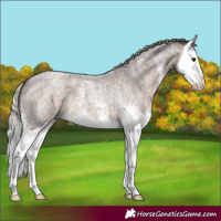 Horse Color:Silver Brown Roan Dun Sabino Splash 