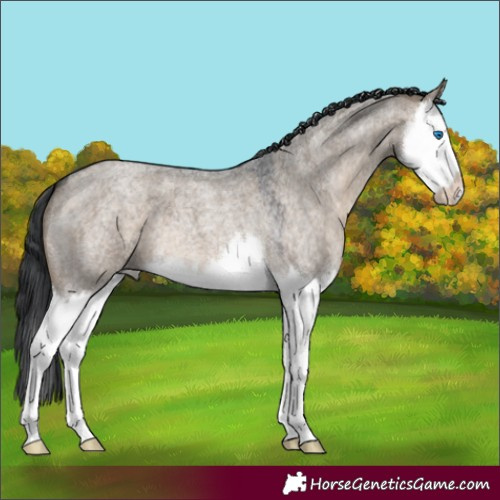 Horse Color:Brown Roan Dun Splash 