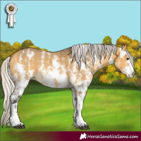 Horse Color:Silver Buckskin Dun Sabino