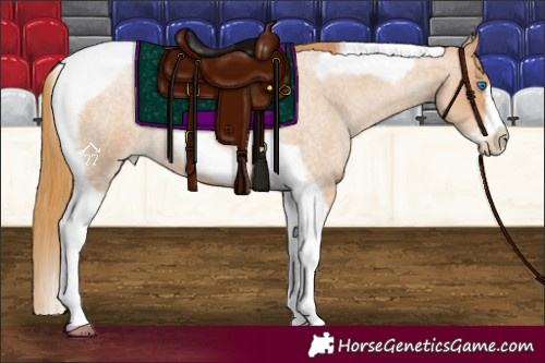Horse Color:Red Roan Pearl Tobiano Frame