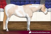Horse Color:Red Roan Pearl Tobiano Frame 