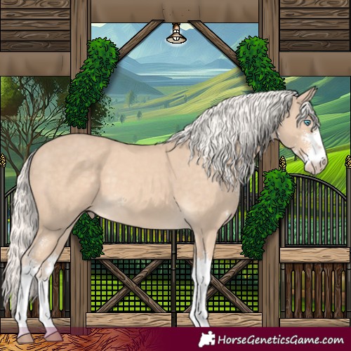Horse Color:Cremello Sabino