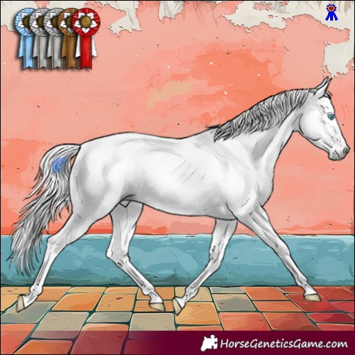 Horse Color:Gray White Spotted Bay Pearl Dun Tobiano