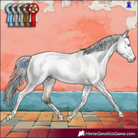 Horse Color:Gray White Spotted Bay Pearl Dun Tobiano 