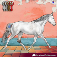 Horse Color:Gray White Spotted Bay Pearl Dun Tobiano 