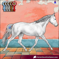 Horse Color:Gray White Spotted Bay Pearl Dun Tobiano