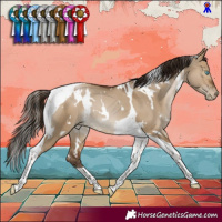 Horse Color:Gray White Spotted Bay Pearl Dun Tobiano 