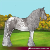 Horse Color:Platinum Silver Brown Dun Tobiano Rabicano 
