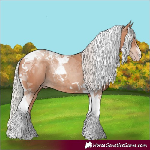 Horse Color:Silver Classic Champagne Tobiano Rabicano