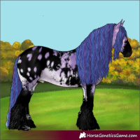 Horse Color:Void Painted Watercolor Brown Ice Onyx Sabino Appaloosa 