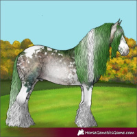 Horse Color:Gray Watercolor White Spotted Brown Ice Onyx Tobiano 