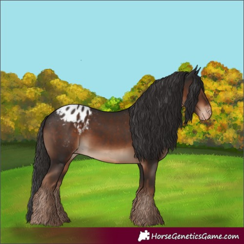 Horse Color:Liver Chestnut Blanket 