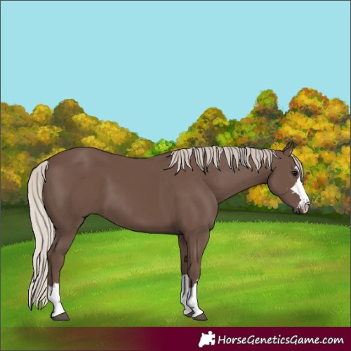 Horse Color:Silver Black 